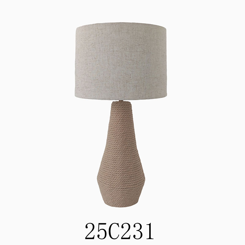 25C231