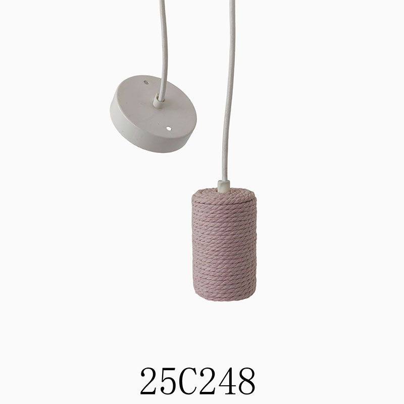 25C248